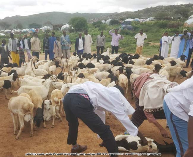 Picture of العقائق