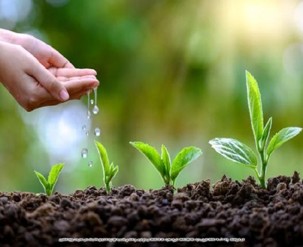 Picture of وقفيات10*10