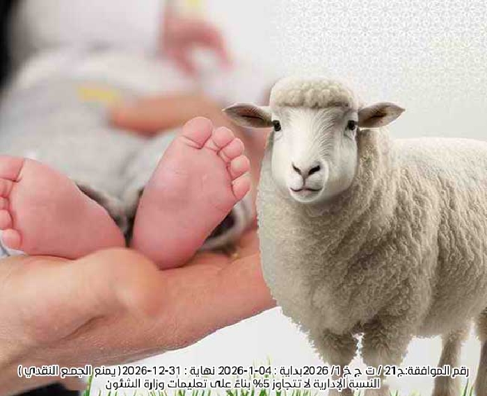 صورة العقائق